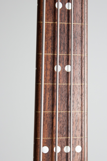 Micro-Frets  Signature Fretless Electric Bass Guitar  (1973)