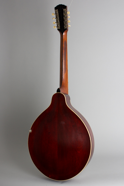 Gibson  K-2 Carved Top Mandocello  (1912)