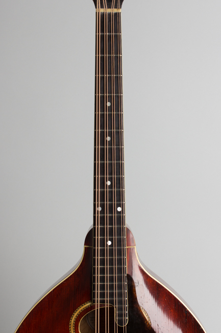 Gibson  K-2 Carved Top Mandocello  (1912)