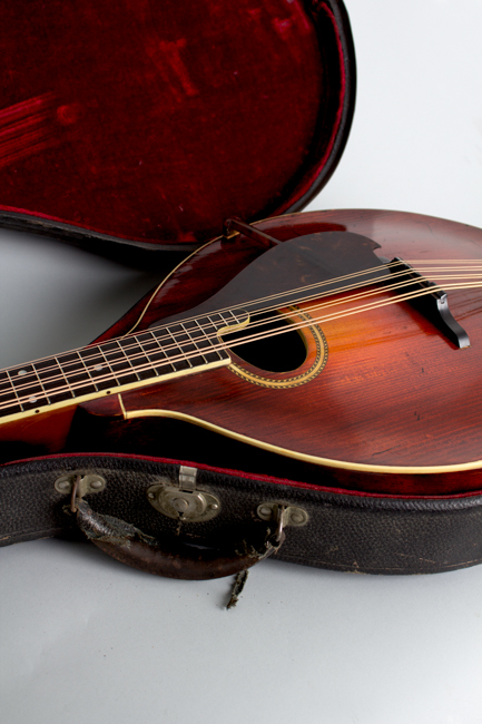 Gibson  K-2 Carved Top Mandocello  (1912)