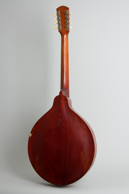 Gibson  K-1 Carved Top Mandocello  (1916)