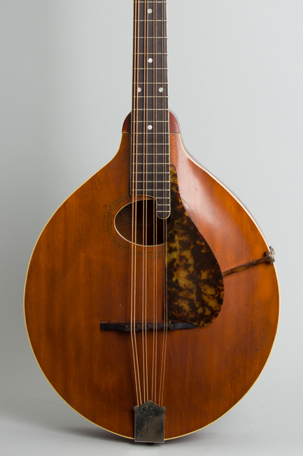 Gibson  K-1 Carved Top Mandocello  (1916)