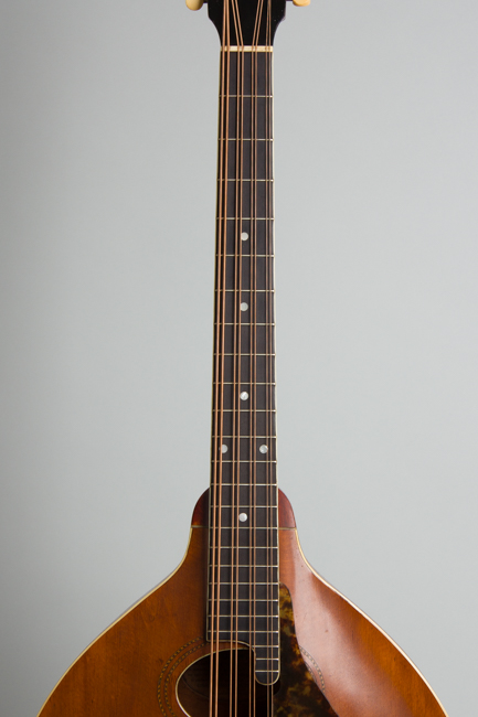 Gibson  K-1 Carved Top Mandocello  (1916)