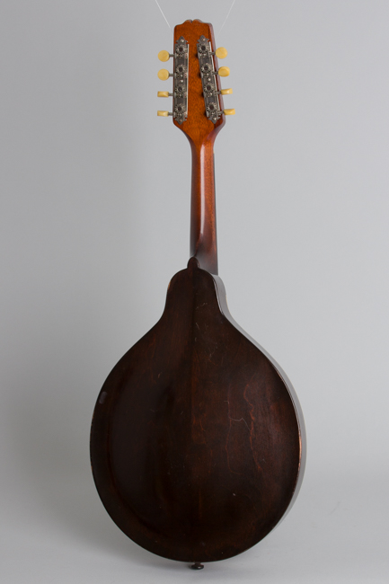 Gibson  Style A-1 Snakehead Carved Top Mandolin  (1925)