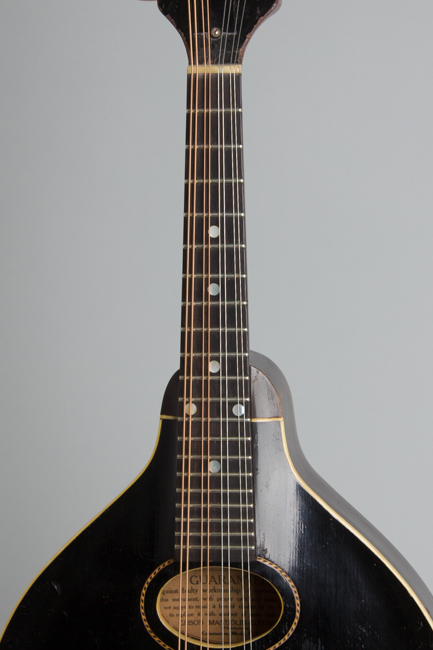 Gibson  Style A-1 Snakehead Carved Top Mandolin  (1925)