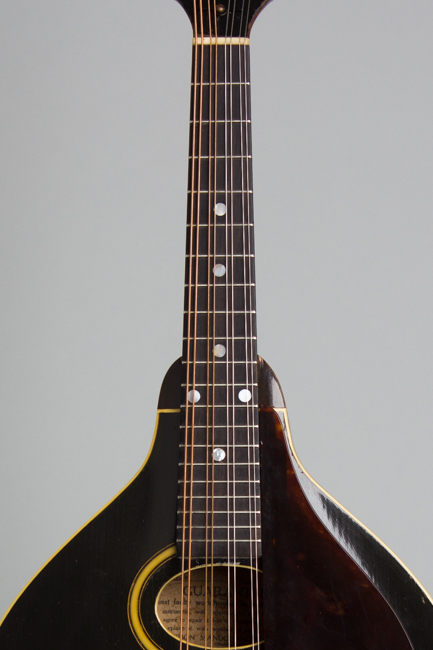 Gibson  Style A Snakehead Carved Top Mandolin  (1926)