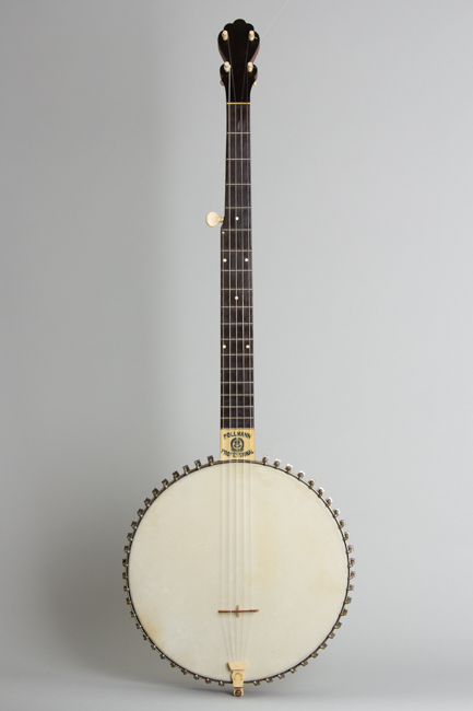 Professional banjo price cheap