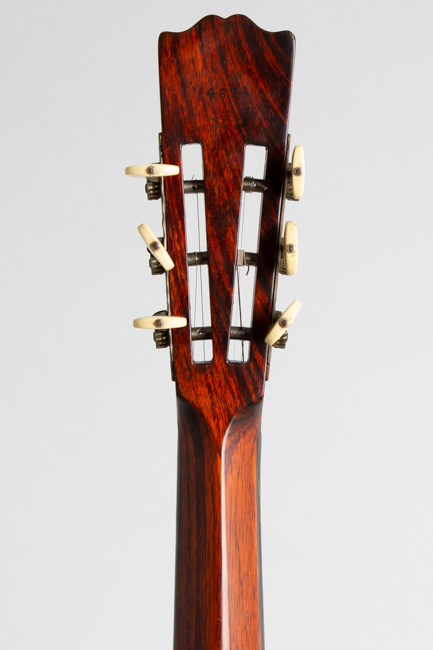 Cammeyer  Vibrante 5 String Zither Banjo  (1920)