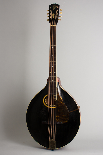 Gibson  K-2 Carved Top Mandocello  (1913)