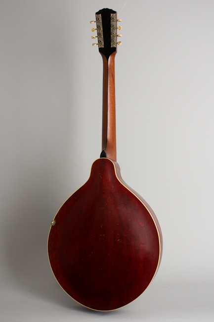 Gibson  K-2 Carved Top Mandocello  (1913)