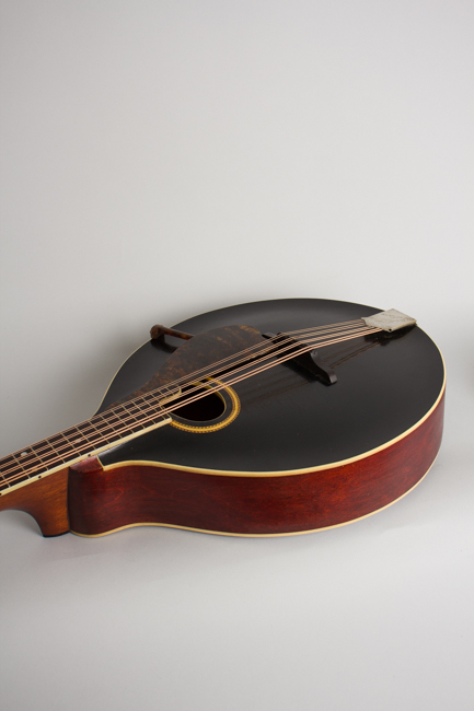 Gibson  K-2 Carved Top Mandocello  (1913)