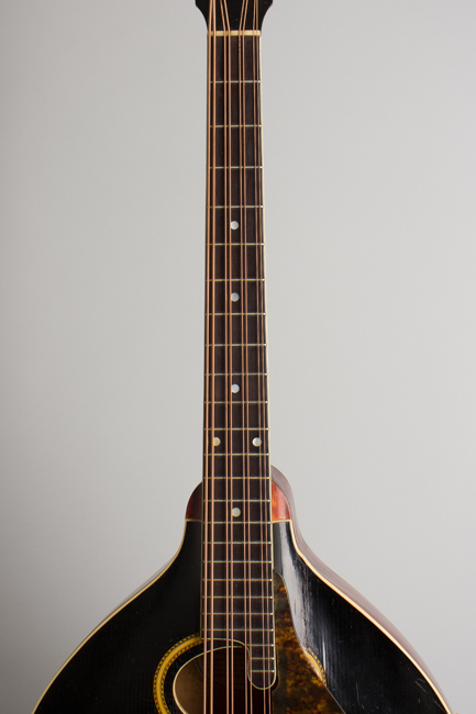 Gibson  K-2 Carved Top Mandocello  (1913)