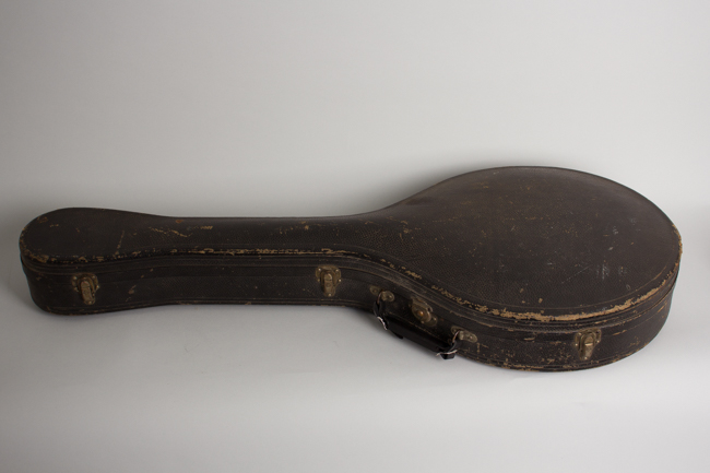 Gibson  K-2 Carved Top Mandocello  (1913)