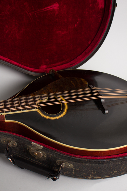 Gibson  K-2 Carved Top Mandocello  (1913)