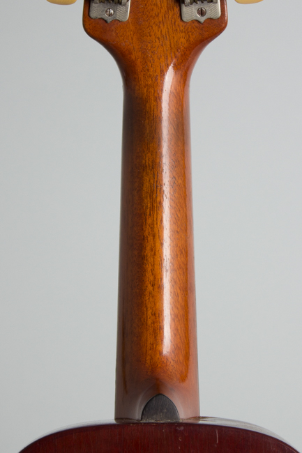 Howe-Orme  No. 1730 Arch Top Mandolin ,  c. 1900