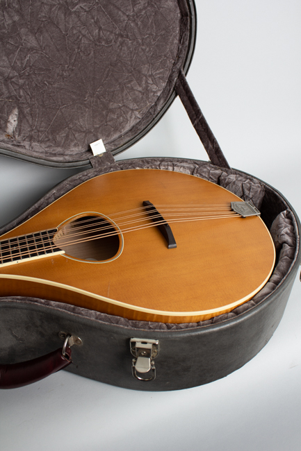 Weber  Tamarack Flat Top Mandocello (2011)