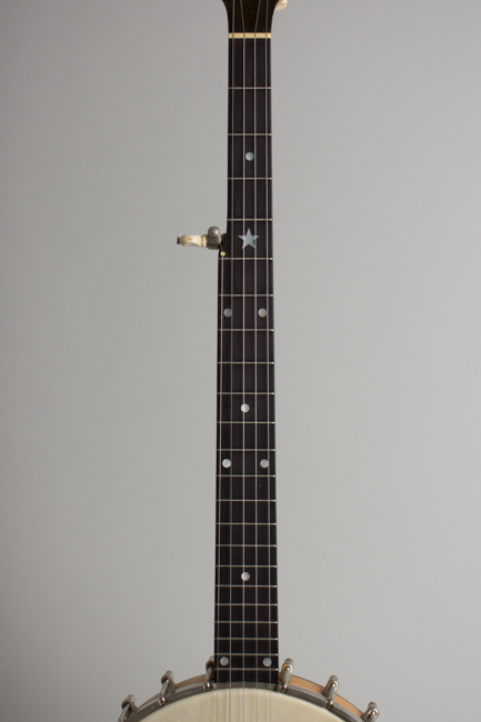 Bart Reiter Professional 5 String Banjo