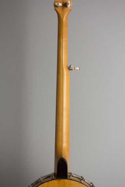 Bart Reiter Professional 5 String Banjo