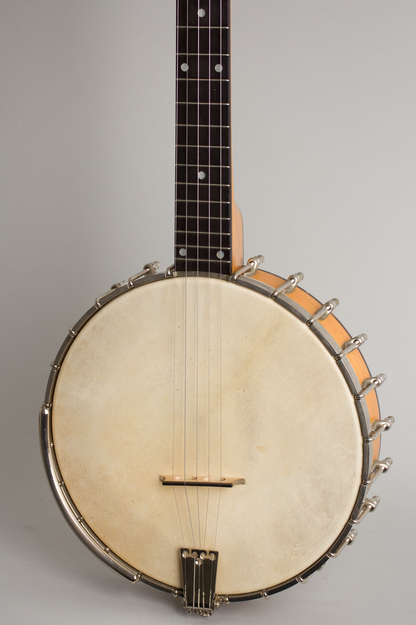 Bart Reiter Professional 5 String Banjo RetroFret