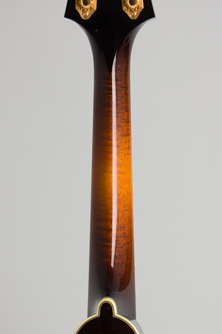 Collings  MT-2 Carved Top Mandolin  (2003)