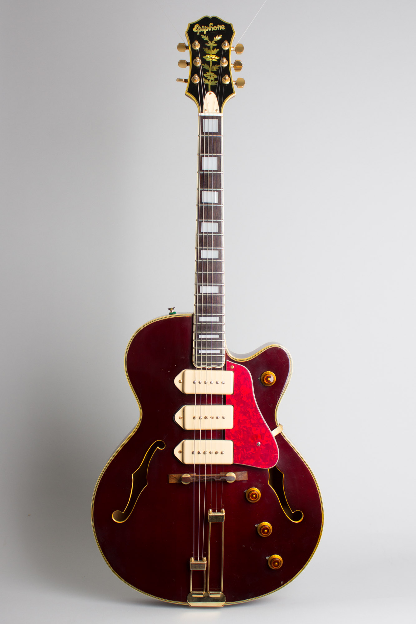 Epiphone Zephyr Blues Deluxe Customized for Elliott Sharp by Peter
