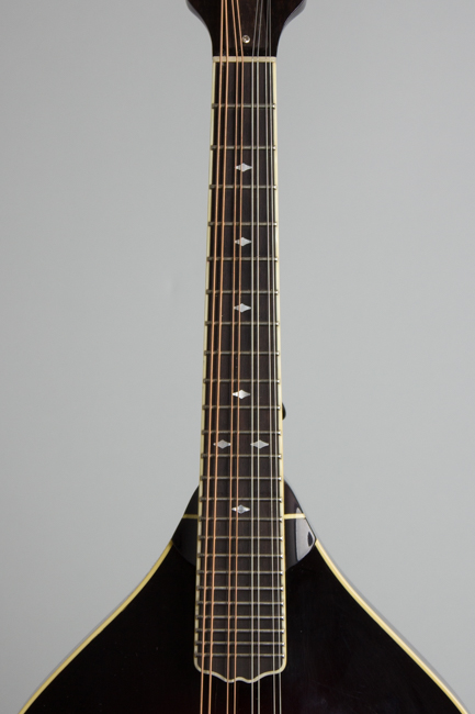 Weber Absaroka Carved Top Mandolin (2005)