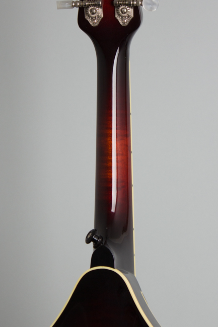 Weber  Absaroka Carved Top Mandolin  (2005)