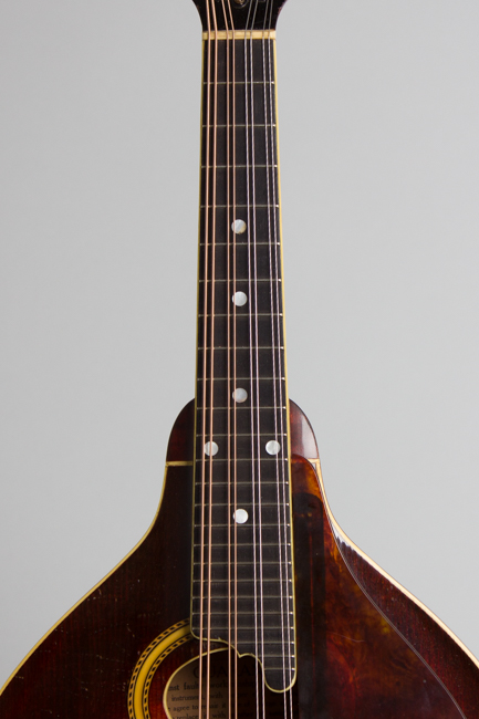 Gibson  A-4 Carved Top Mandolin  (1928)