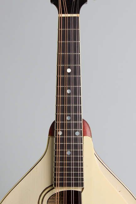 Gibson  Style A-3 Carved Top Mandolin  (1919)