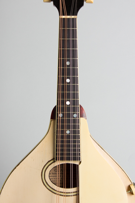 Gibson  Model A-3 Carved Top Mandolin  (1919)