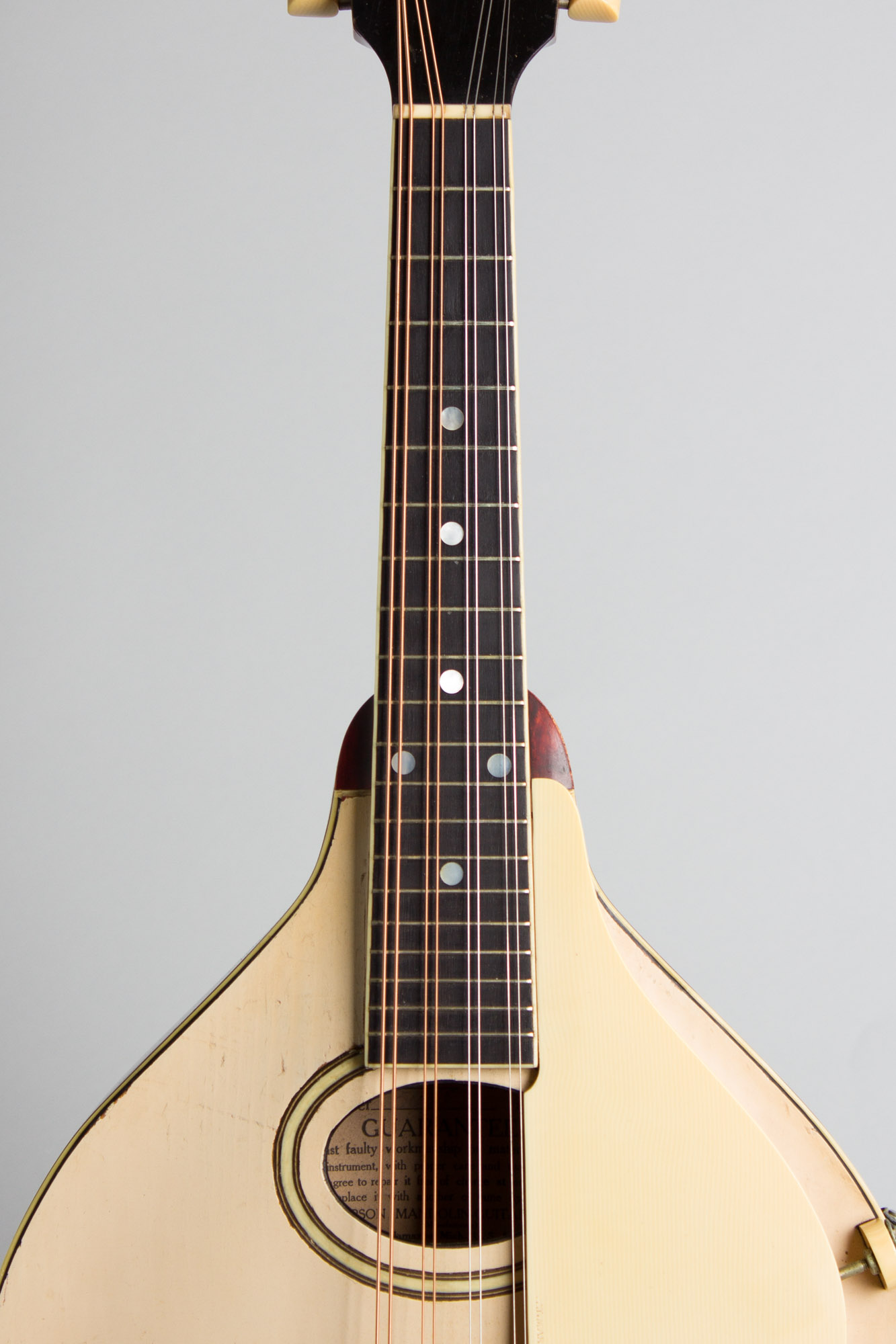 Gibson Model A3 Carved Top Mandolin (1919) RetroFret