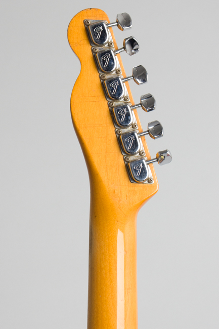 Fender  Telecaster Paisley Solid Body Electric Guitar  (1968)