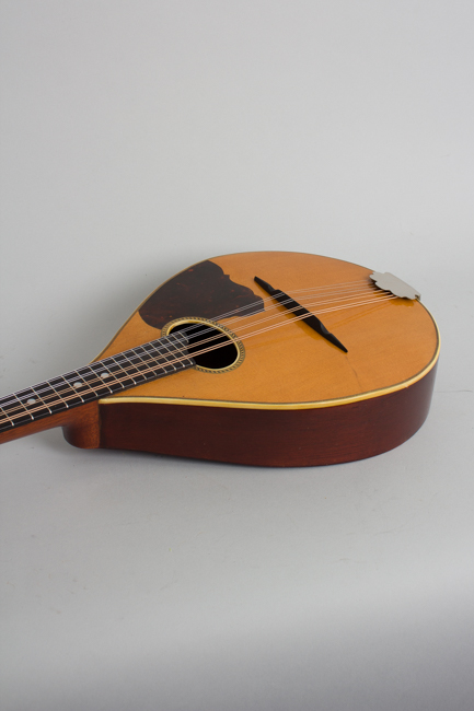 Vega  Model 201 Flat Back, Bent Top Mandolin  (1930)