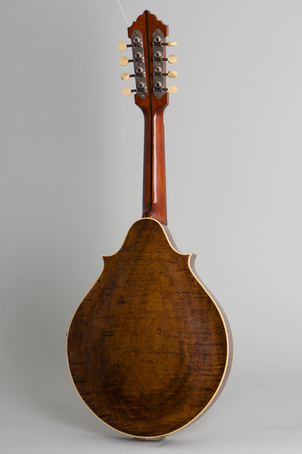 Lyon & Healy  Style B Carved Top Mandolin  (1919)