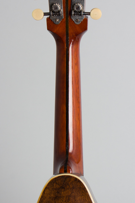 Lyon & Healy  Style B Carved Top Mandolin  (1919)