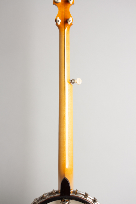 Fairbanks/Vega Whyte Laydie Style R Conversion 5 String Banjo (1920)