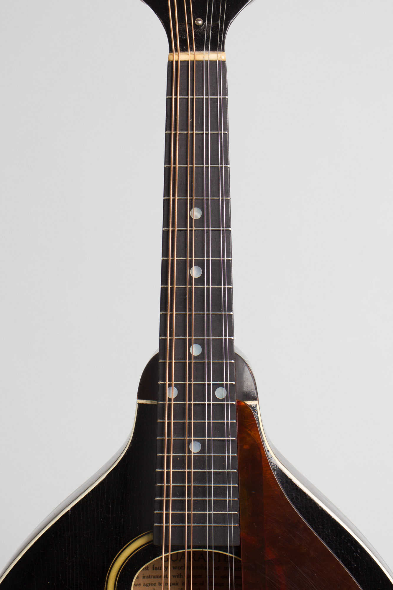 Gibson Style A Snakehead Carved Top Mandolin (1927) RetroFret