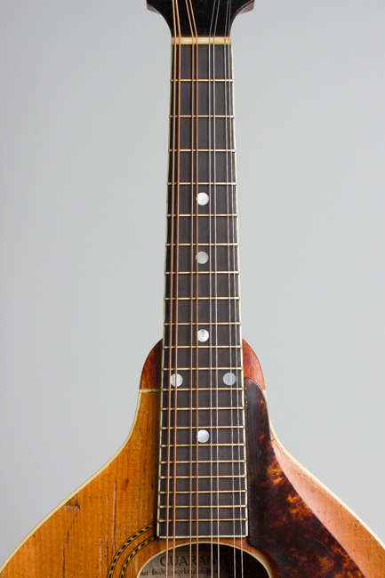 Gibson  A-3 Carved Top Mandolin  (1914)