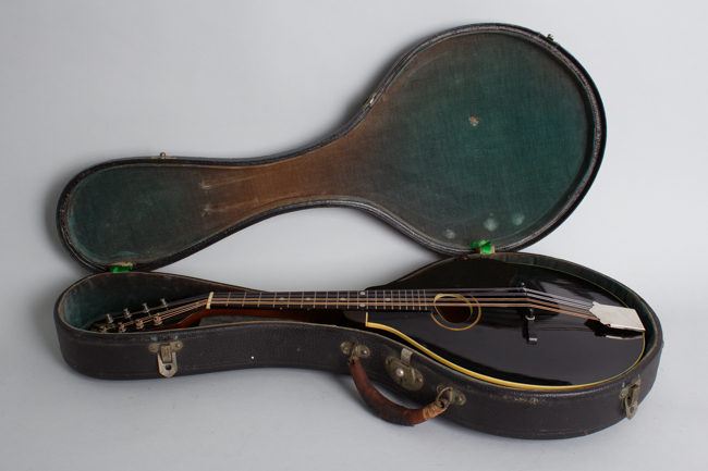Gibson  Style A-1 Snakehead Carved Top Mandolin  (1924)