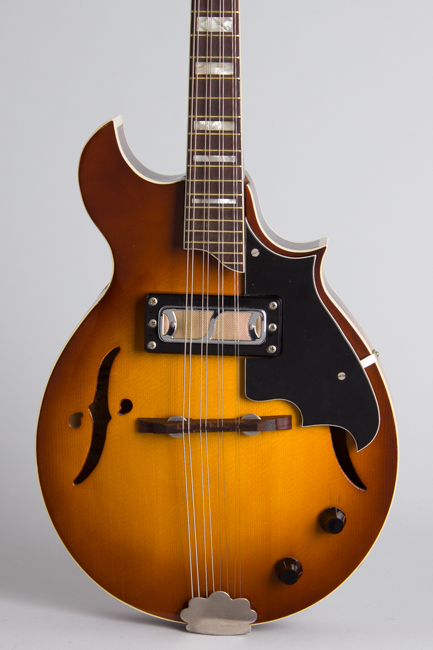 Harmony  H-835 Hollow Body Electric Mandolin  (1974)