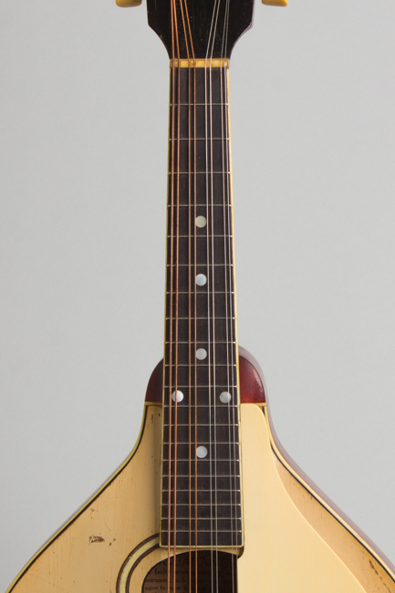 Gibson  Model A-3 Carved Top Mandolin  (1919)