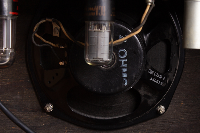  White Tube Amplifier, made by Fender (1956)