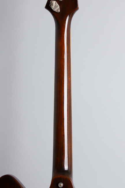 Gibson  Firebird V Medallion Solid Body Electric Guitar  (1972)