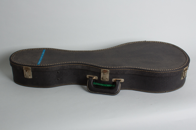 Harmony  H-35 Hollow Body Electric Mandolin  (1971)