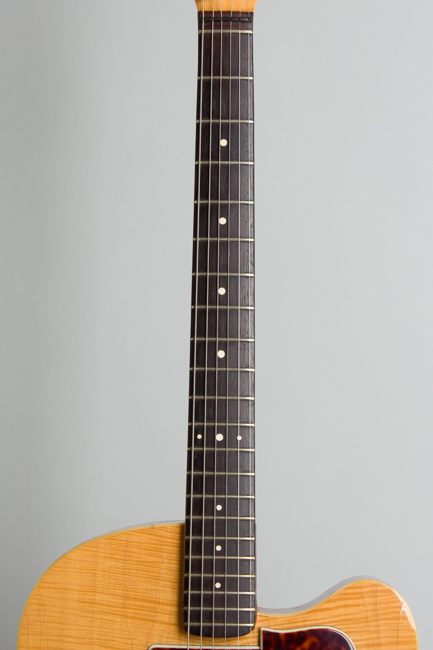 Burns  GB 65 Semi-Hollow Body Electric Guitar  (1965)