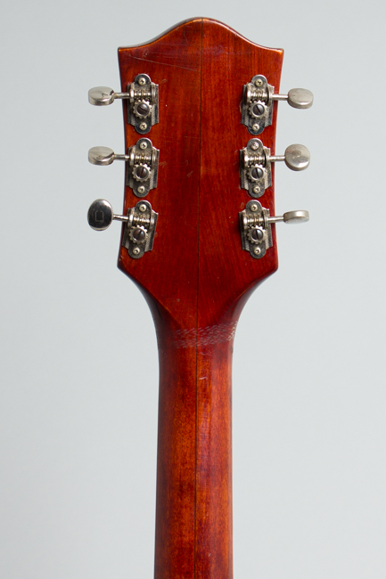 Gretsch  Chet Atkins Tennessean PX 6119 Thinline Hollow Body Electric Guitar  (1961)