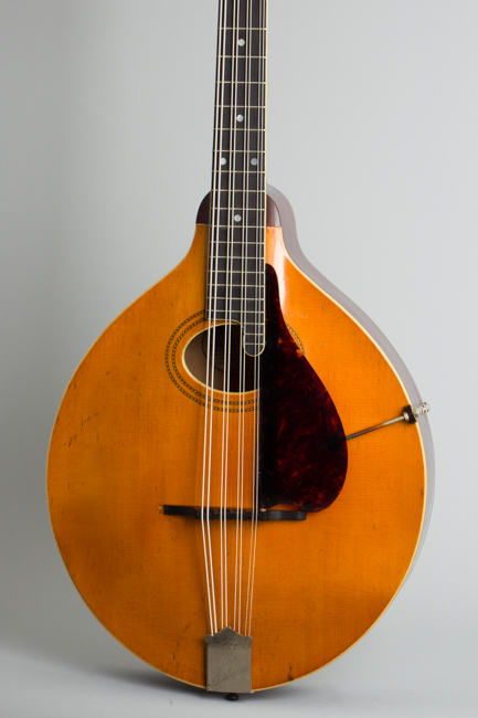 Gibson  K-1 Carved Top Mandocello  (1918)