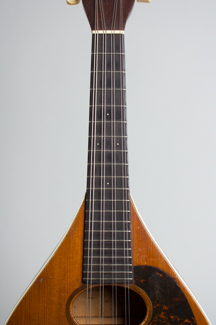  Bitting Special Flat Back, Bent Top Mandolin, made by C. F. Martin  (1917)