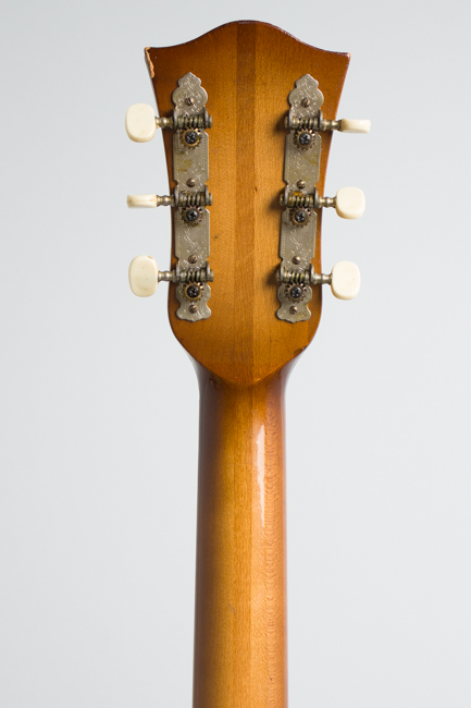 Hofner  Club 50 Arch Top Hollow Body Electric Guitar  (1960)