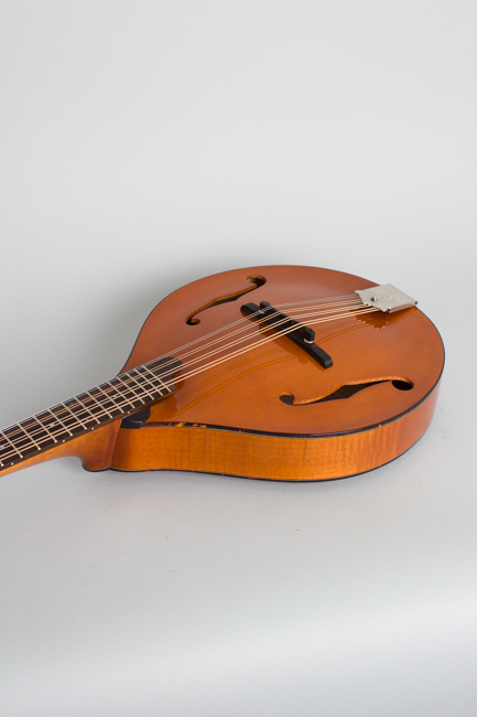 Northfield  NFM-M4 Carved Top Mandola  (2023)